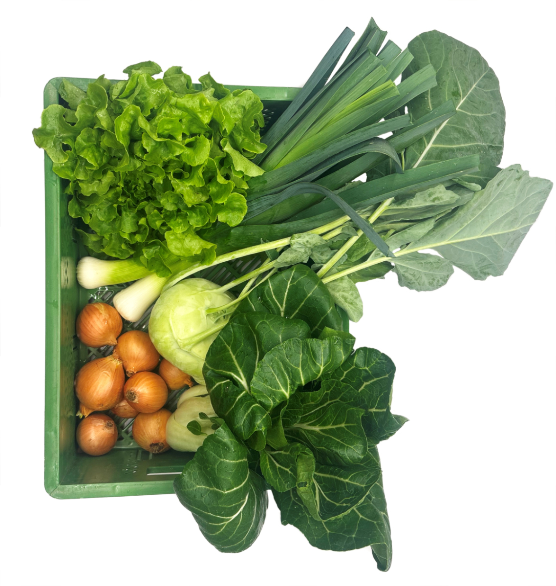 Querbeet 11