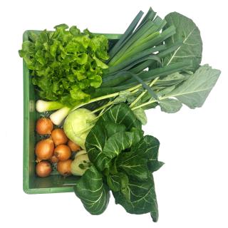 Querbeet 11