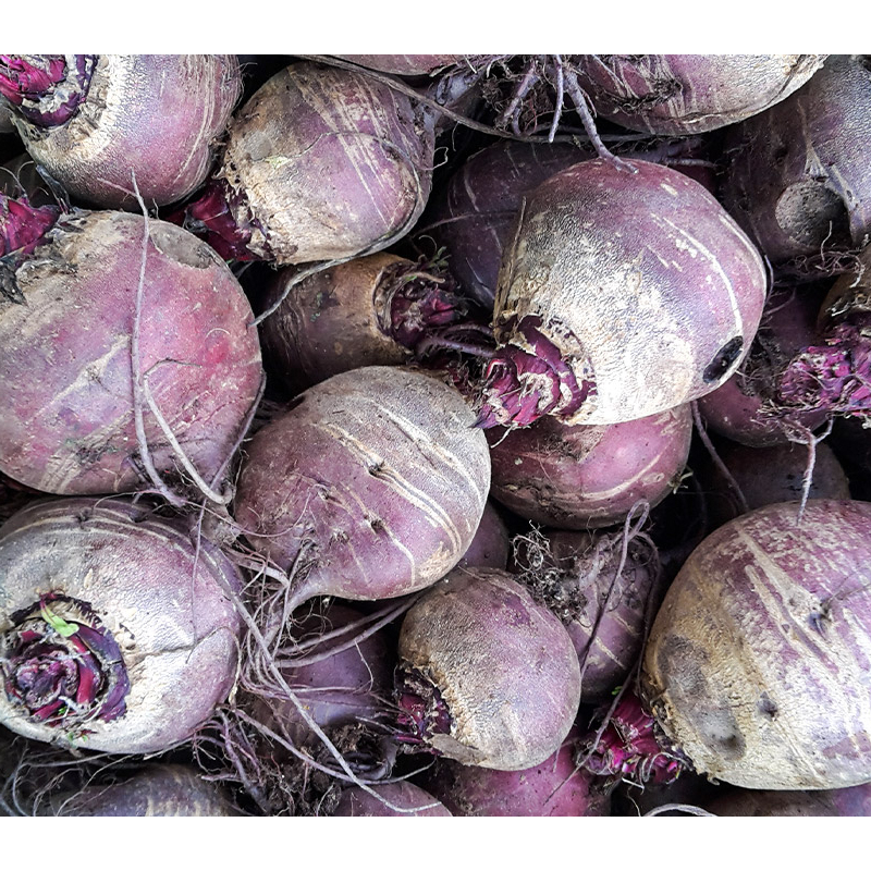 Frischer Rote Bete Salat